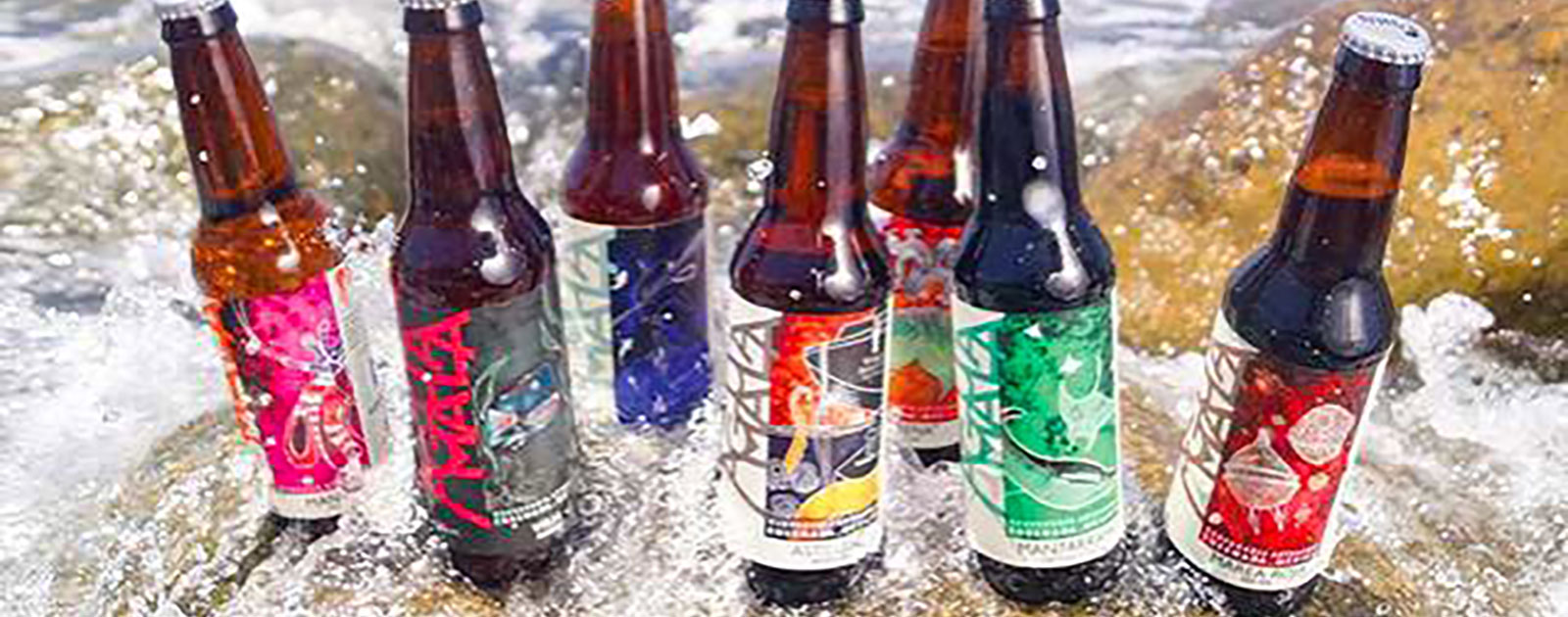 Cerveceria Aguamala Bottle Line Up