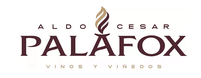 Palafox Logo