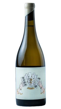 Discografica / Acordeon Blanco 2024